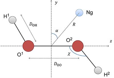 Theoretical Investigation on H2O2-Ng (He, Ne, Ar, Kr, Xe, and Rn) Complexes Suitable for Stereodynamics: Interactions and Thermal Chiral Rate Consequences